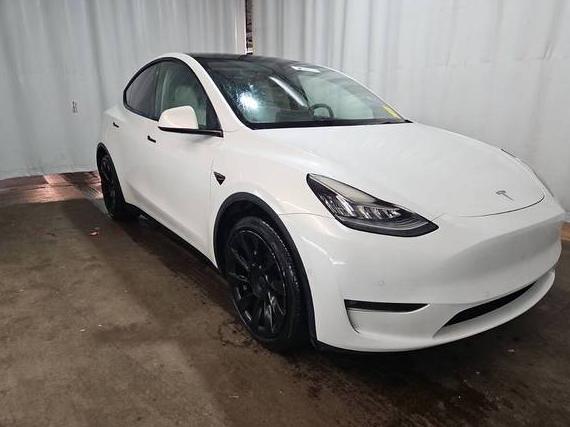 TESLA MODEL Y 2022 7SAYGAEE0NF427442 image